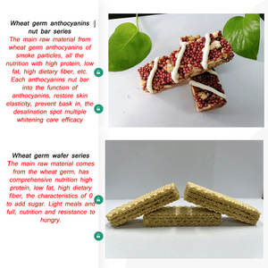 מותאם אישית Oem סיטונאי בתפזורת מותג פרטי חלבון בר גבוהה תזונה טהור אורגני טבעוני חלבון ברים - Product Image 3