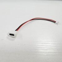 Conector USB Tipo C de 2 Pines a Prueba de Agua con Hebilla para Tarjeta PH2.0, Puerto de Carga de Alta Corriente, Enchufe de Carga USB-C