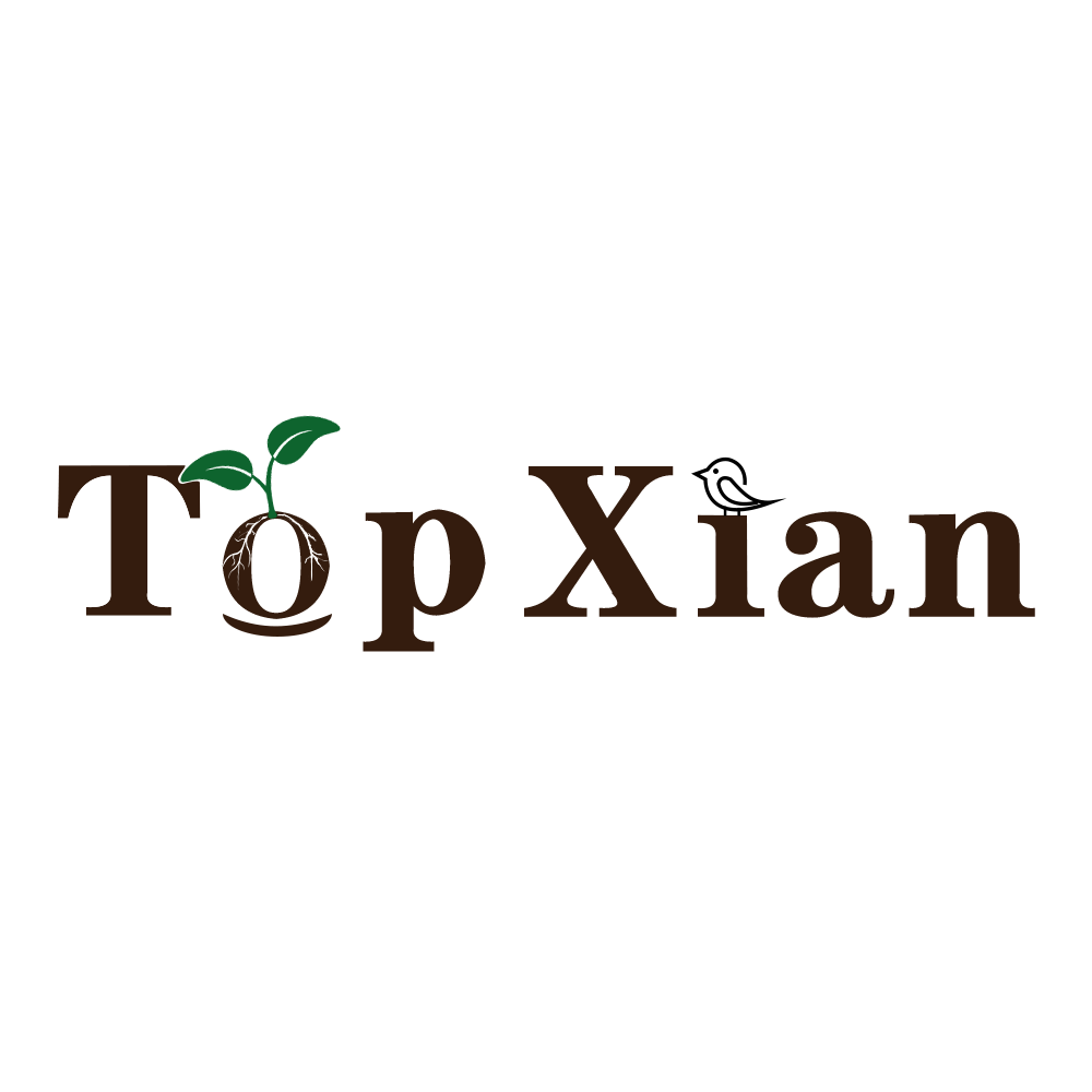 Dongguan Top Xian Technology Co., Ltd. logo