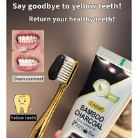 Dentifrice au charbon de bambou personnalisable de haute qualité, blanchiment naturel des dents activé par le charbon, pour la maison, vente en gros directe du fabricant