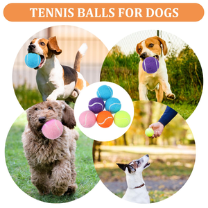 Pelota de Tenis para Perros con Logotipo Personalizado, Alta Elasticidad, Colorida, Fácil de Atrapar, Pelota de Juego para Mascotas, para Masticar y Perseguir, 2.5 Pulgadas - Product Image 4