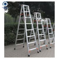 Échelle prime en aluminium, toit télescopique en plastique en acier Commercial, échelle pliante en aluminium personnalisée