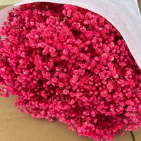 Fleur de Gypsophile Stabilisée 120 g, Vente en Gros Usine, Fleurs Séchées Naturelles, Bouquet Souffle de Bébé, Fleur de Gypsophile Florale pour Mariage