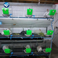 Cage à lapins en métal de haute qualité / Cage à lapins en aluminium construite au Kenya Ferme 18 portes Prix plus bas