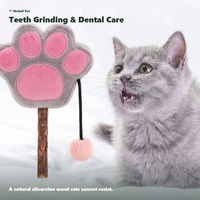 Jouet pour chat en peluche et bois, à mâcher, avec design sucette à la menthe, pour l'auto-entretenissement des chatons