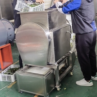 Kls Hoge Kwaliteit Fabrieksleverancier Vruchten Doorlopende Snijmachine Avocado, Mango Snijmachine