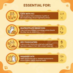 Капсулы для поддержки мочевыводящих путей у кошек под собственной торговой маркой: D-манноза, клюква, N-ацетилглюкозамин (NAG) – добавка для облегчения цистита у кошек - Product Image 2