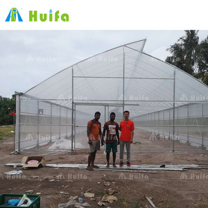 Serre verte, équipement pour plantes, vente <span class=keywords><strong>en</strong></span> gros - Product Image 4