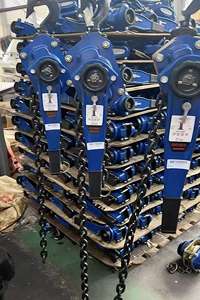 Rantai Pengangkat Tuas Elevator 1,5m dengan Kapasitas Angkat 0,75 <span class=keywords><strong>Ton</strong></span> & 6 <span class=keywords><strong>Ton</strong></span> Pengangkatan Manual Garansi 1 Tahun untuk Pengangkatan Industri - Product Image 5