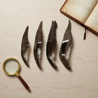 Plume de canard naturelle pour les arts, l'artisanat, le bricolage, les coiffures, les chapeaux, les accessoires de costume, les fêtes de carnaval, les mariages, la décoration de la maison, l'Halloween