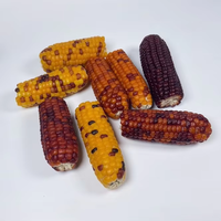 Mini friandises naturelles en épi de maïs, bâtonnets à mâcher interactifs pour petits animaux, pour cochons d'Inde, chinchillas et lapins