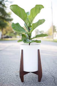 Support de pot de fleur d'angle en bois au design unique pour la décoration de la maison et du centre commercial du fournisseur indien - Product Image 3