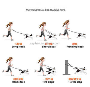 Correa de perro doble de 14 colores, logotipo personalizado, cuerda de algodón y poliéster trenzada multifunción, correa de perro manos libres resistente - Product Image 2