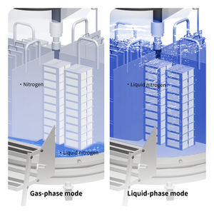 대용량 실험실 초저온 저장탱크 Ln2 제대혈 세포 보관 은행 스테인리스 바이오뱅크 - Product Image 4