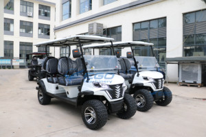 Voiturette de golf à essence de haute qualité, fabricant de voiturettes de golf à essence, voiturettes de golf utilitaires personnalisées pour clubs de chasse - Product Image 4