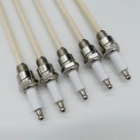 Électrode d'allumage en céramique d'alumine à 95 % ZXH pour brûleur à gaz 220-380V Température maximale 1000°C Longue durée de vie Garantie 1 an