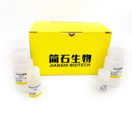Kit de Extracción de <span class=keywords><strong>ADN</strong></span>/ARN Viral (Perlas Magnéticas), Certificado CE para Hisopo/Saliva/Suero, Alto Rendimiento - Product Image 2