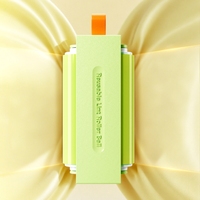 Brosse de nettoyage portable pour animaux de compagnie, double face, lavable, machine à coller, rouleau pour vêtements, éliminateur de poils, brosse anti-poussière