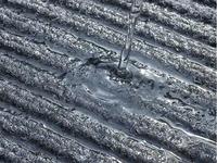 Tapis d'entrée commerciaux en PVC modernes à double rayure, résistants, antidérapants, écologiques, absorbants l'eau et retournant la saleté vers l'extérieur