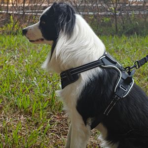 Arnés de Pecho para Mascotas con Luz LED Ajustable y Reflectante para Perros de Tamaño Mediano, Seguridad Nocturna - Product Image 1