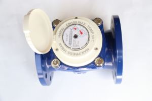 Промышленный чугунный R80-100 с большим холодным фланцем, 40-300 - Product Image 3