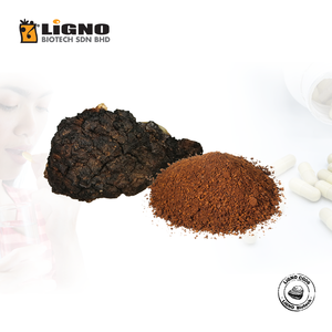 Chaga LiGNO CG06, Ingrediente Activo Puro, el Más Vendido en Malasia, Apto para Suplementos Veterinarios, Grado Premix - Product Image 1