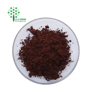 Water Soluble Reishi Shell-broken Spore Powder Reishi Mushroom Powder