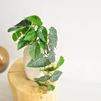 Plante Artificielle en Pot Feuillage Réaliste Faux Calathea pour Décoration Intérieure et de Bureau