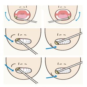 Spazzolino usa e getta spugna per la cura dei denti Stick spazzola per la pulizia della bocca - Product Image 5