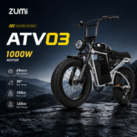 Vélo Électrique Rétro ZUMI US Brésil à Siège Long pour Adultes, Pneus Larges, Moteur Arrière OEM ODM Personnalisé 1000W, Batterie 15Ah, Vente Directe Usine