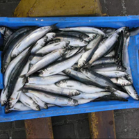 Caisse en plastique solide empilable et pliable, adaptée au contact alimentaire, écologique, pour le transport de poissons, de fruits de mer et de légumes