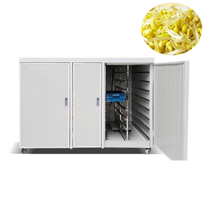 Soya Bean Sprouts Machine Sprout Mung Bean Machine Bean Sprouts Making Machine - Product Image 5
