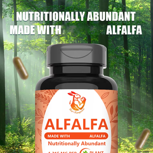 Cápsulas Herbales de Hoja de Alfalfa OEM ODM, Bienestar General, Apoyo a la Salud Digestiva para Adultos, Grado Alimenticio 100 - Product Image 5