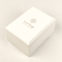 Boîte cadeau en bois laqué pour parfum, doublure intérieure en velours satiné doux, logo personnalisé pour l'emballage de flacons de parfum et la promotion de la marque