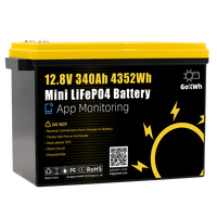 Batteries lithium-ion GoKWh à livraison rapide 100Ah 200Ah 300Ah 320Ah 340Ah 280Ah 12V Lithium 24V 12.8V RV ESS Solaire Lifepo4