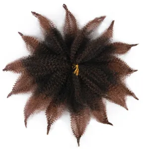 Tresses synthétiques Afro au Crochet Marley, Extensions de cheveux pour femmes noires Kanekalons, tresses crépues torsadées - Product Image 1