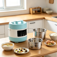 Mini-cuiseur à pression électrique 2L compact multifonction pour la maison