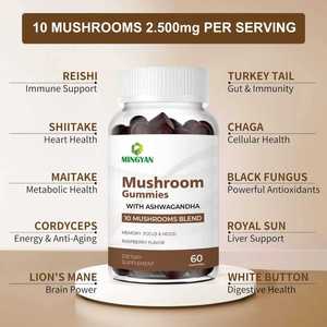 Mélange de champignons OEM/ODM pour la vitalité quotidienne – Complément de santé en gommes aux champignons pour le soutien immunitaire naturel et la santé cognitive - Product Image 2