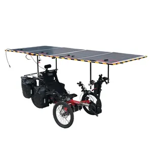 480W Solar Panel Powered Recliner Electric Tadpole 3 Wheel Bicycle Recumbent Trike