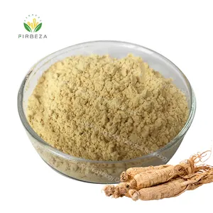 Prezzo all'ingrosso estratto di radice di Ginseng sfuso biologico naturale puro 30% Ginsenoside in polvere