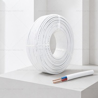Câble de câblage domestique plat BVVB gainé blanc en cuivre massif 2x1.5 2x2.5 2x4.0 2x6.0 Standard blanc gainé 300/500V