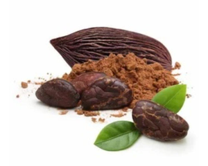 Extracto de Cola Amarga Silvestre en Polvo, Garcinia Kola, Semilla Herbal Botánica, Ingrediente Vegetal Natural, Grado Alimenticio, Suplemento Alimenticio a Granel - Product Image 2