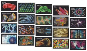 Estampillas Postales Eternas de EE. UU. 2025, Rollo de 100 Unidades, Estampillas Postales con la Bandera Americana, Estampillas Eternas <span class=keywords><strong>para</strong></span> Correspondencia - Product Image 4