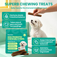 Suppléments pour animaux de compagnie en gros OEM avec gingembre pour nettoyer les dents, rafraîchir l'haleine et favoriser la digestion – Bandes à mâcher probiotiques pour chiens