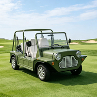 Voiture électrique Moke personnalisée, couleur au choix, batterie lithium 96V, buggy de plage rétro, châssis tout aluminium, véhicule de villégiature