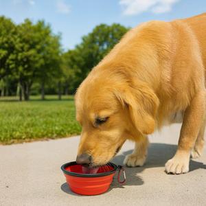 Ciotola pieghevole in silicone per animali domestici 13x7,5x5,5 cm con moschettone, contenitore portatile riutilizzabile per cani e gatti - Product Image 5