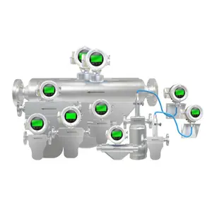 0.15% Accuracy Gas Corilos Mass Flowmeters SS316L Acid Remote Type -40~350 RKS Chinese Manufacturer
