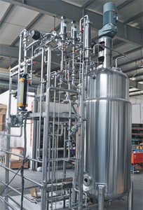Airlift Industrial <strong>Fermenter</strong> <strong>Bioreactor</strong> - Product Image 3