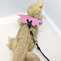 Laisse pour lézards, collier de cou pour reptiles, cordes de traction extérieures anti-évasion pour petits écureuils, hamsters, dragons barbus, modèle 094 pour animaux de compagnie