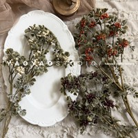 Herfstthema vintage bessen wijnrode frambozen nep fruit kunstmatige bessentak voor Kerstmis bruiloft huisdecoratie